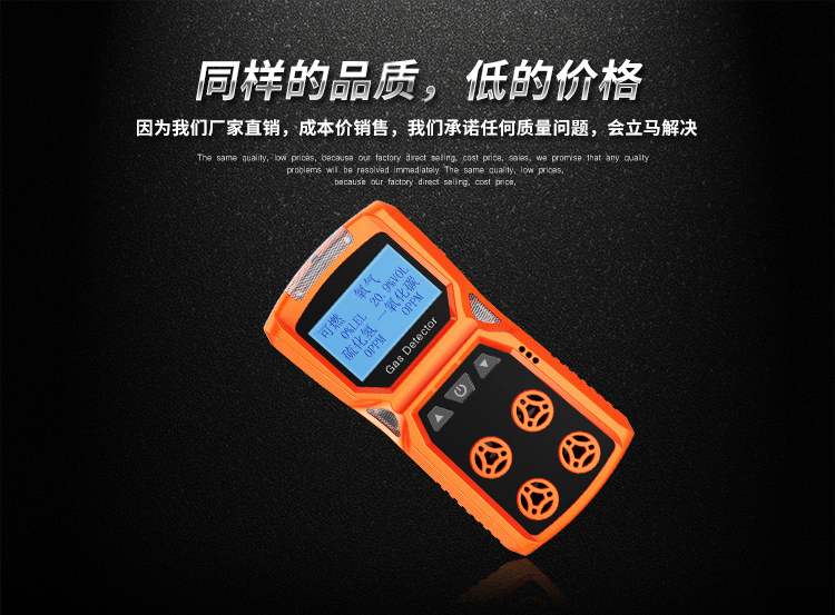 便攜式氣體檢測(cè)儀 便攜式氣體檢測(cè)儀