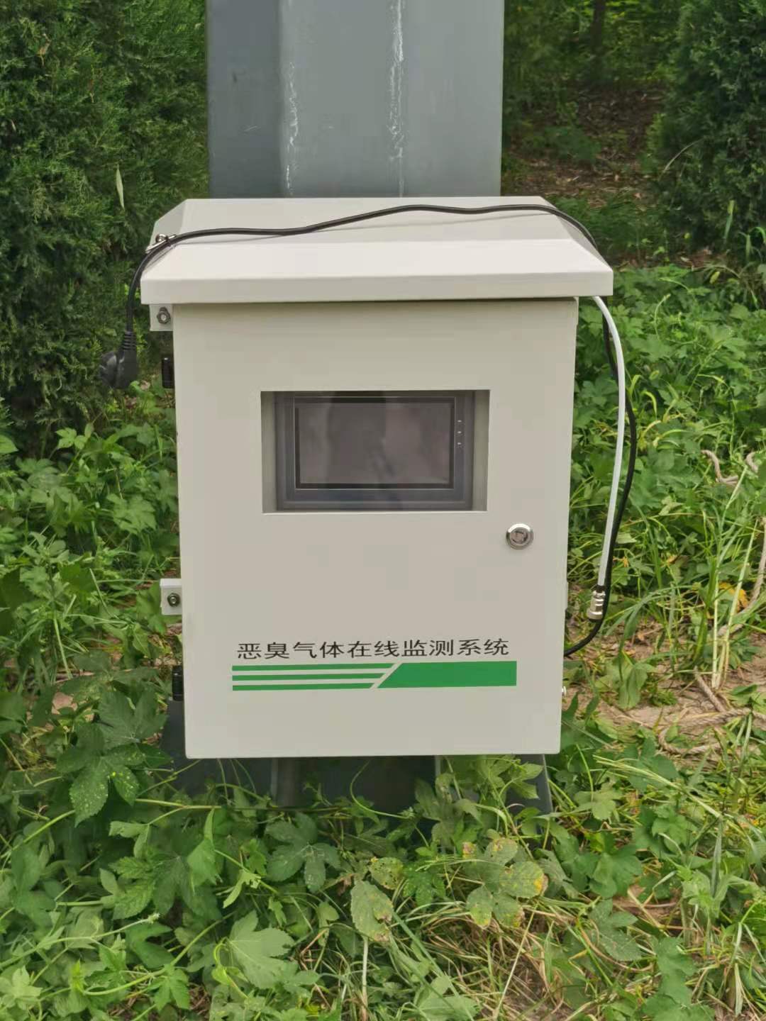 1686217701121732.jpg 1686217701121732.jpg